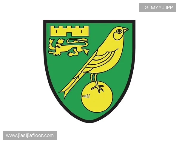 2017年英超球队徽标的设计与象征意义