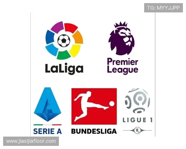 《德甲球队划分标准与赛程安排的官方规则说明》