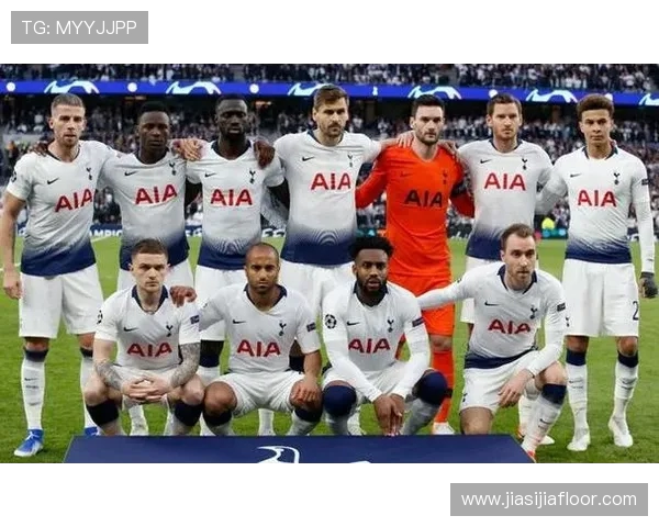 英超热刺球员名单介绍及阵容实力评估